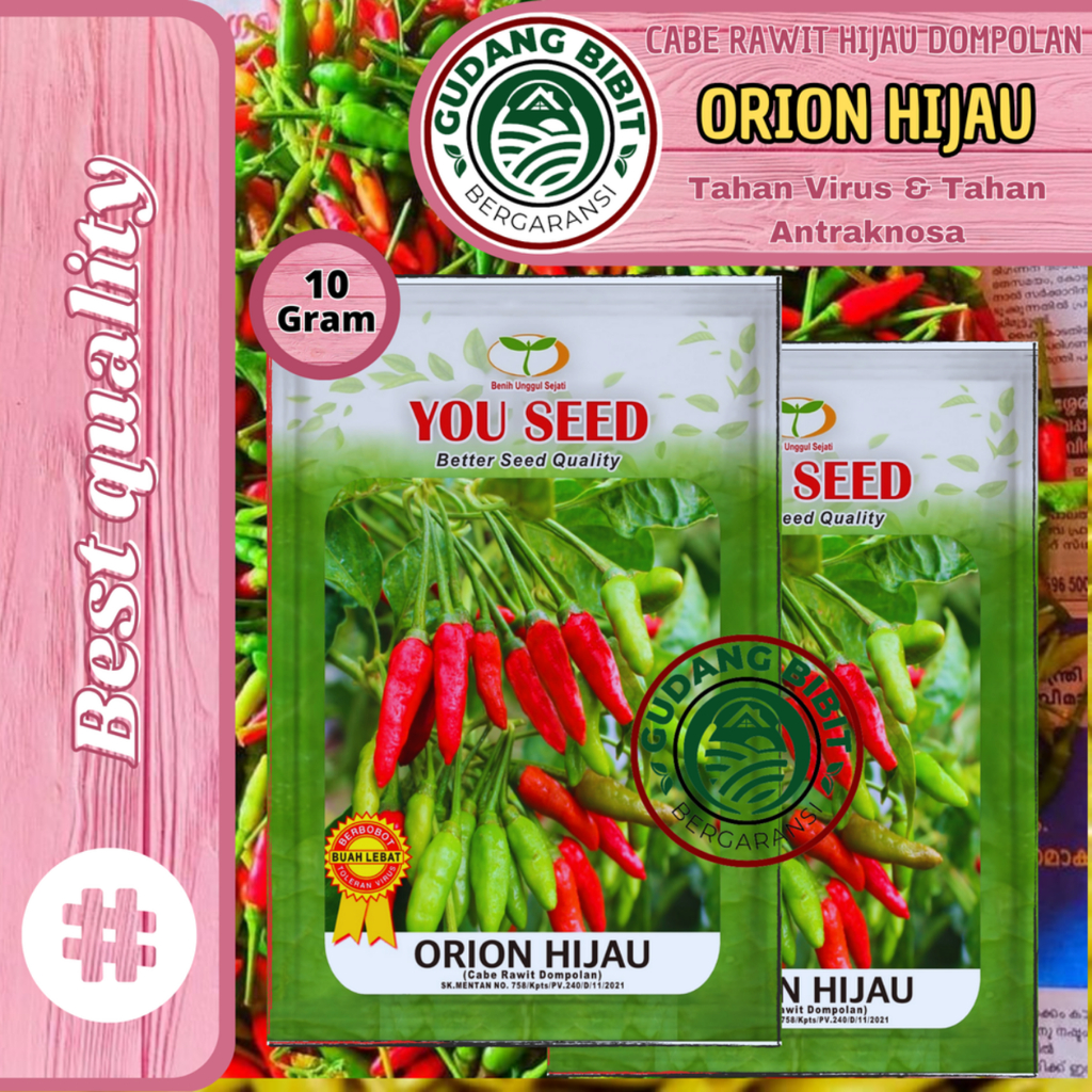 Benih Bibit Cabe Rawit hijau ORION HIJAU 10g Cap You Seed Cabai Rawit Ijo Dompolan