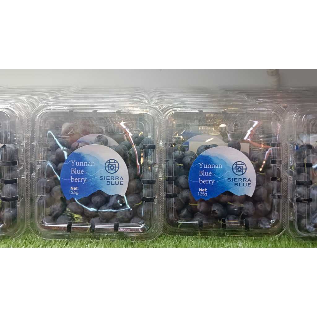 

Segar Bahari Blueberry 1 Pack