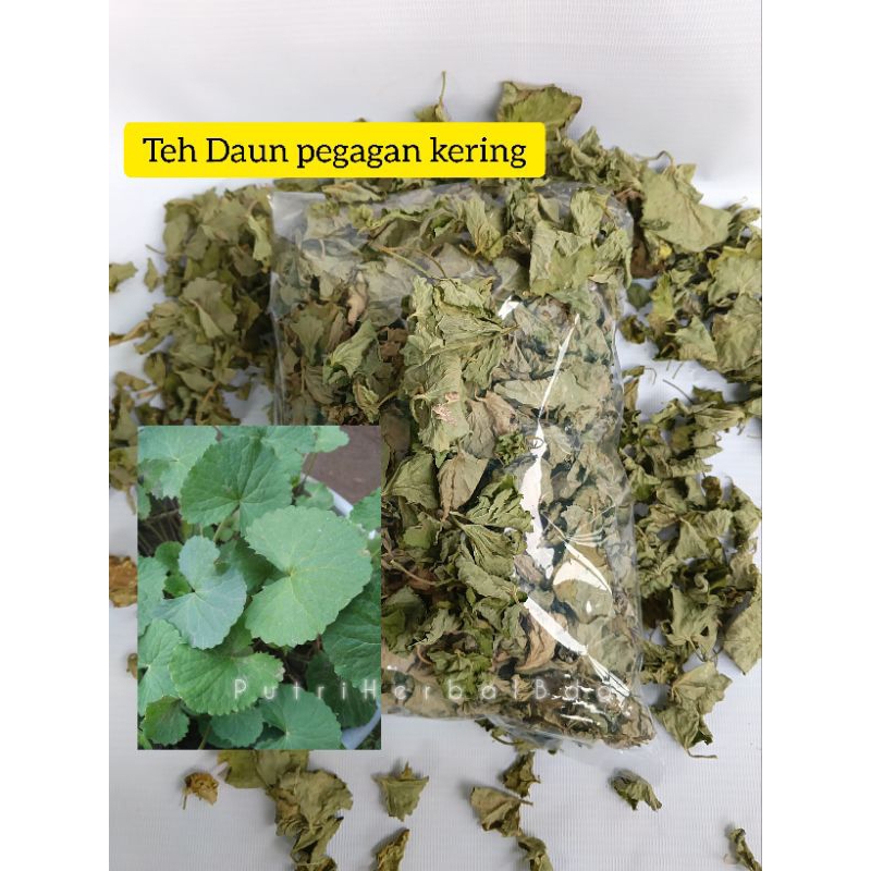 

Teh daun pegagan kering / daun antanan kering - 100 gram