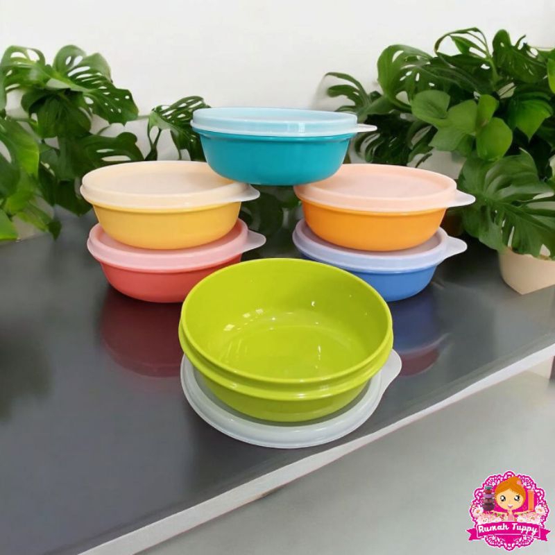 Wadah Tempat Mangkuk Kecil Bumbu Makanan MPAsi Anak Junior Modular Bowl Tupperware Tuppy Murah