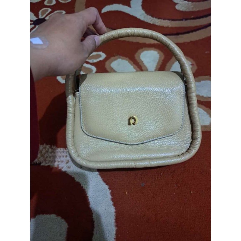 preloved papilon