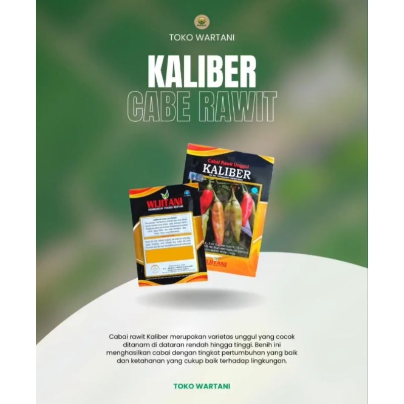 Benih Cabe Rawit Unggul Kaliber