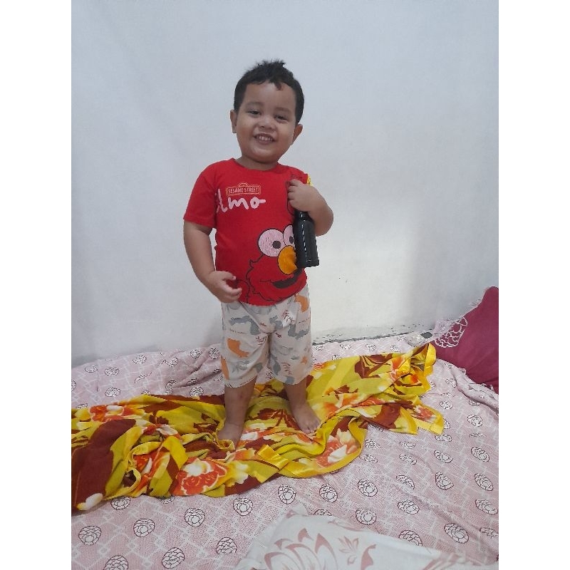 

madu klanceng thoracika