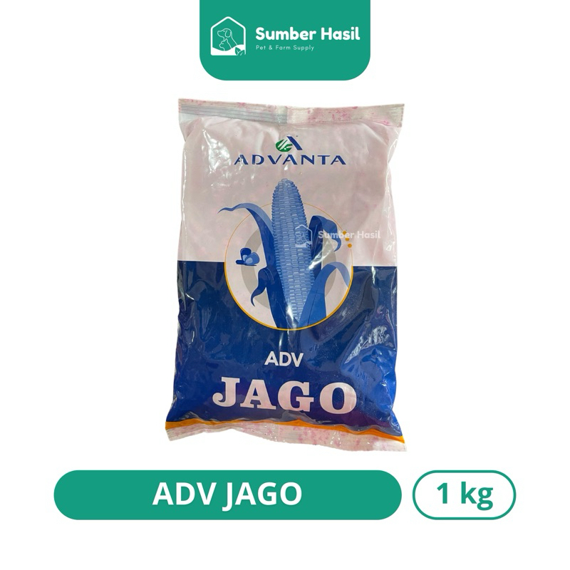 BENIH JAGUNG ADV JAGO 1KG BIBIT JAGUNG ADVANTA KEMASAN 1KG EXP 2026 ORIGINAL