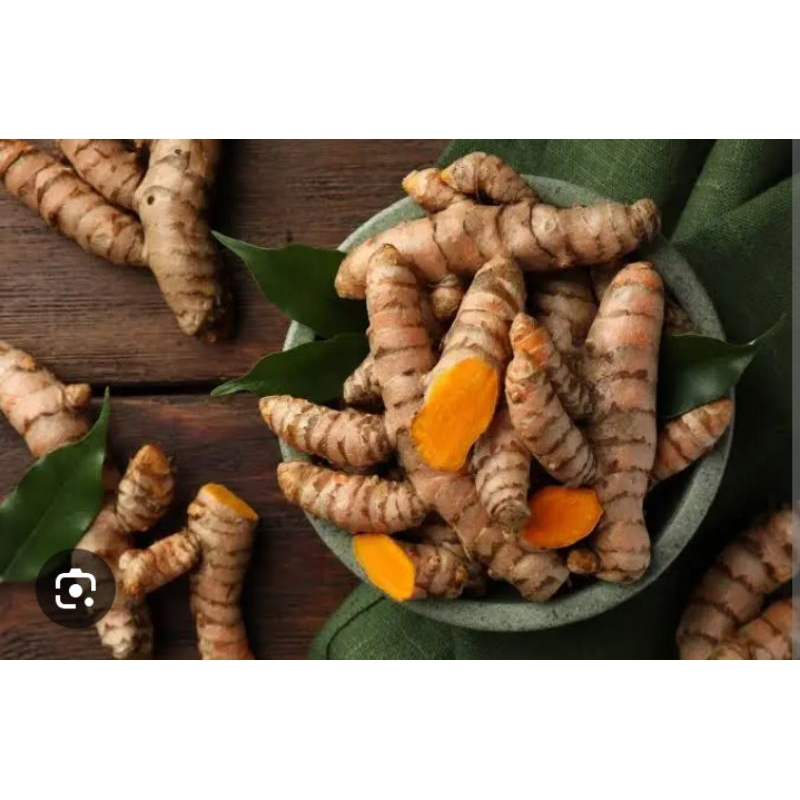 

Kunyit fresh kunyit bumbu dapur dan bisa untuk herbal