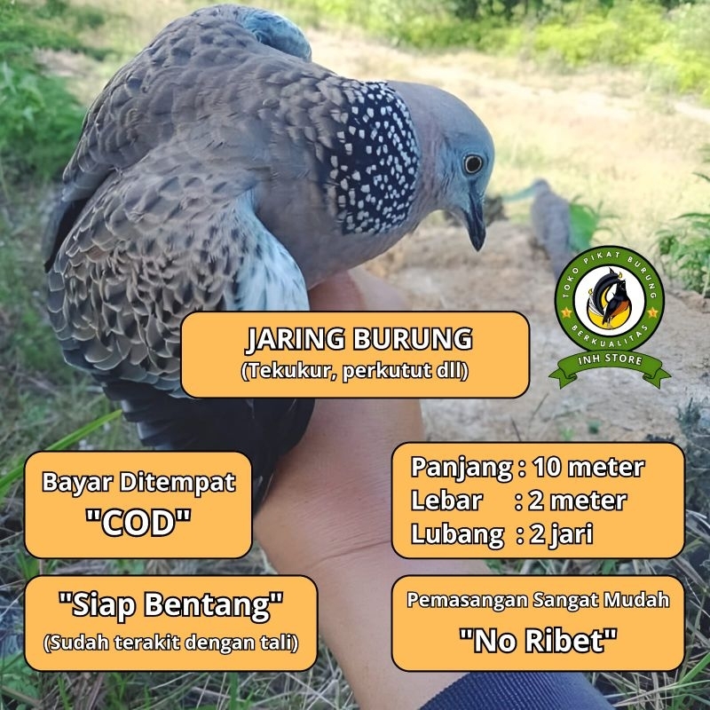 JARING BURUNG TEKUKUR JARING BURUNG DERKUKU JARING BURUNG DEKUKU JALA PIKAT BURUNG TEKUKUR KLANTAN J