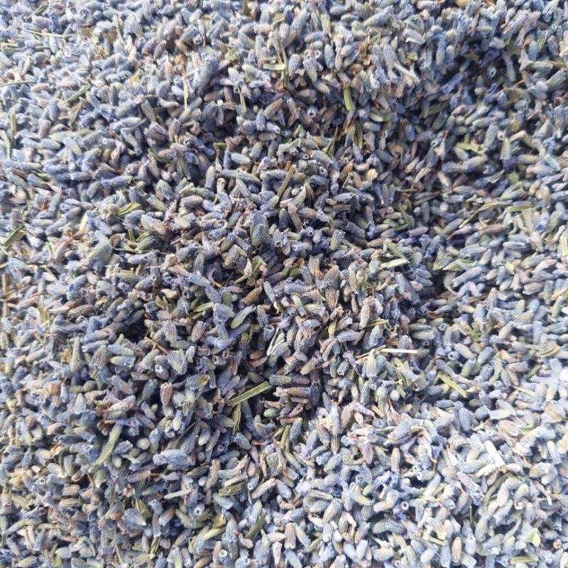 

Teh Bunga Lavender Kering