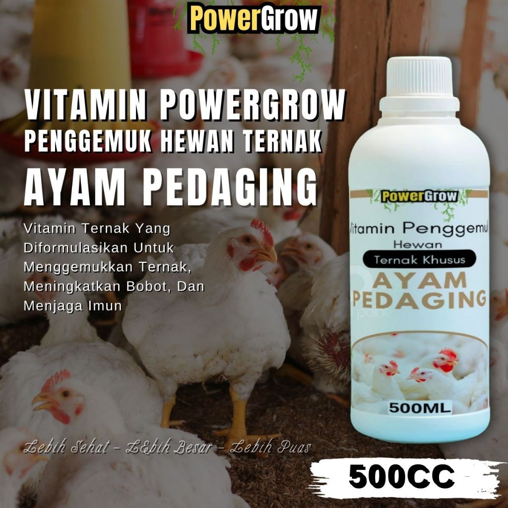 Vitamin Ayam Pedaging Penambah Nafsu Makan Ternak Vitamin Ayam Cepat Besar Daging Berkalitas