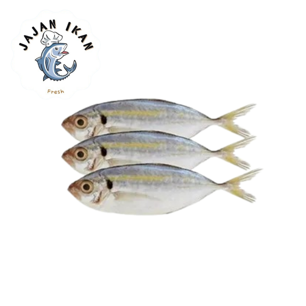 

Ikan Selar [JAJAN IKAN] Ikan Selar Kecil Frozen Segar 1KG