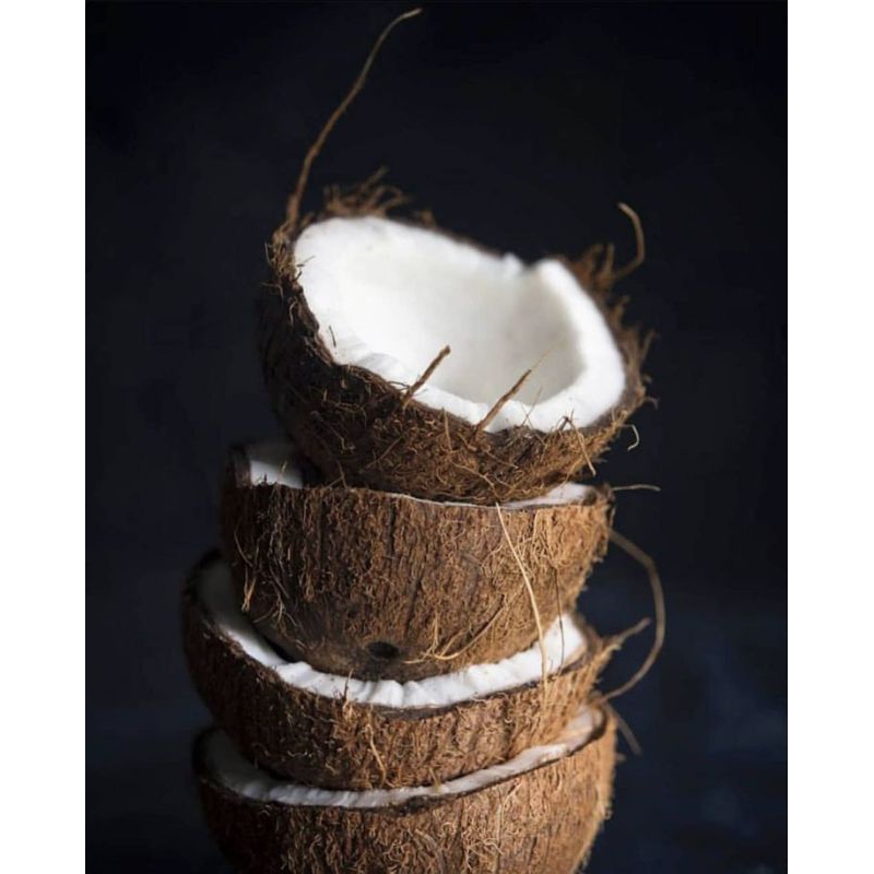 

JUAL KELAPA TUA,COCOK UNTUK BERBAGAI OLAHAN, d jadikan santan