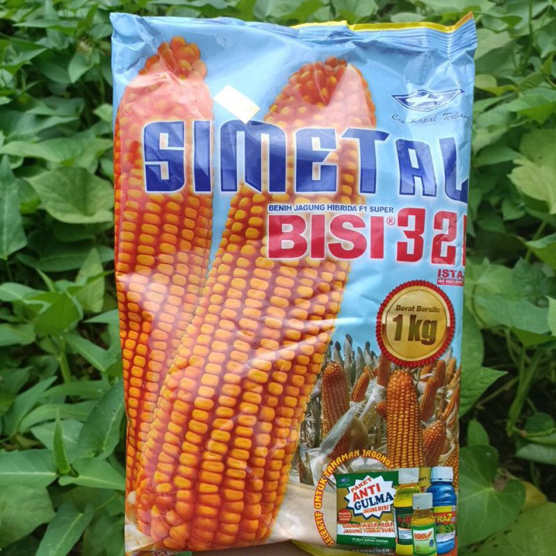 BENIH JAGUNG BISI 321 SIMETAL