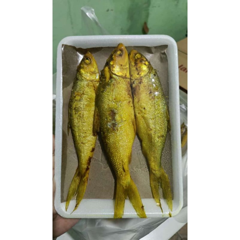 

Bandeng presto isi 3 pcs (kemasan frozen)