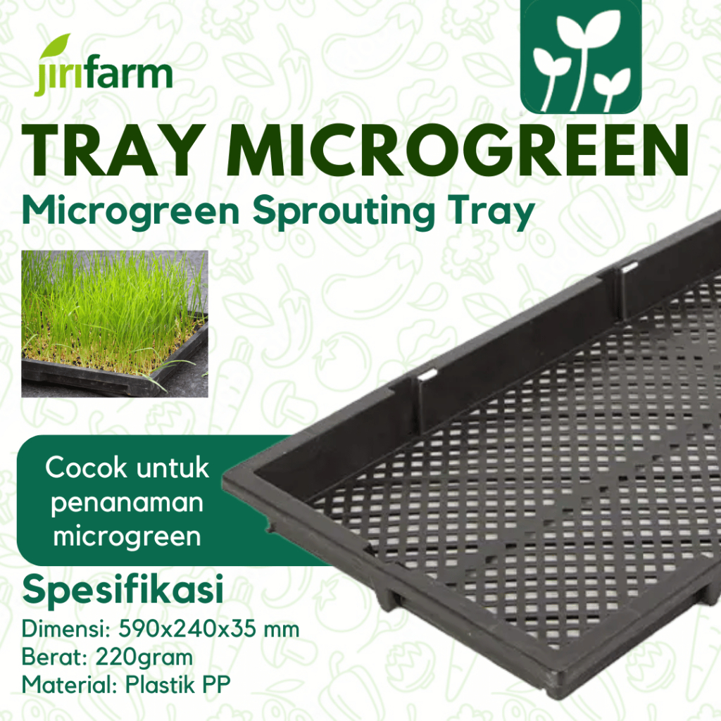 Tray Semai Bibit Microgreen, Nampan Persemaian untuk Kecambah Gandum dan Padi, Tanpa Lubang