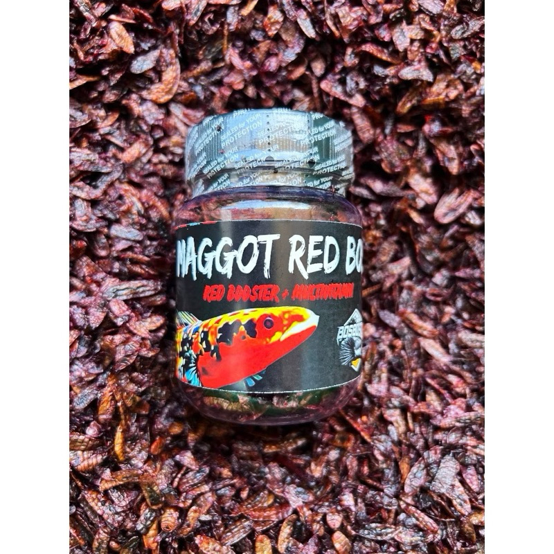 MAGGOT RED BOS BOS QU GRADE A+ NEW FORMULA 30g