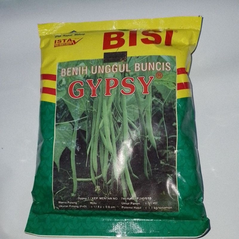 Buncis Gypsy