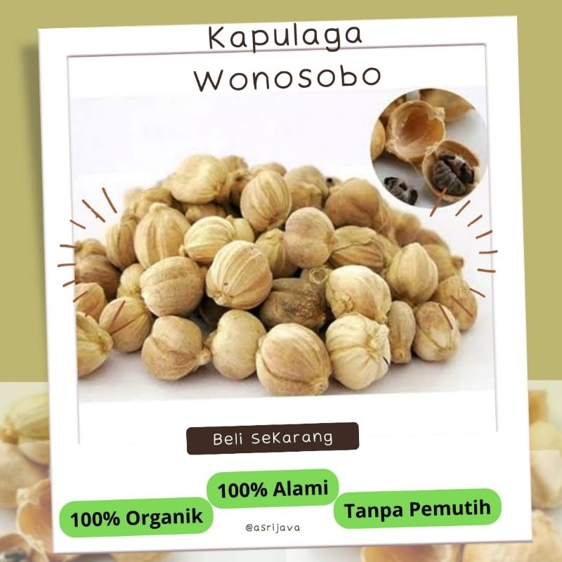 

Kapulaga Kering 1 kg 500 gram Rempah Lokal Wonosobo Putih Bersih Cucian