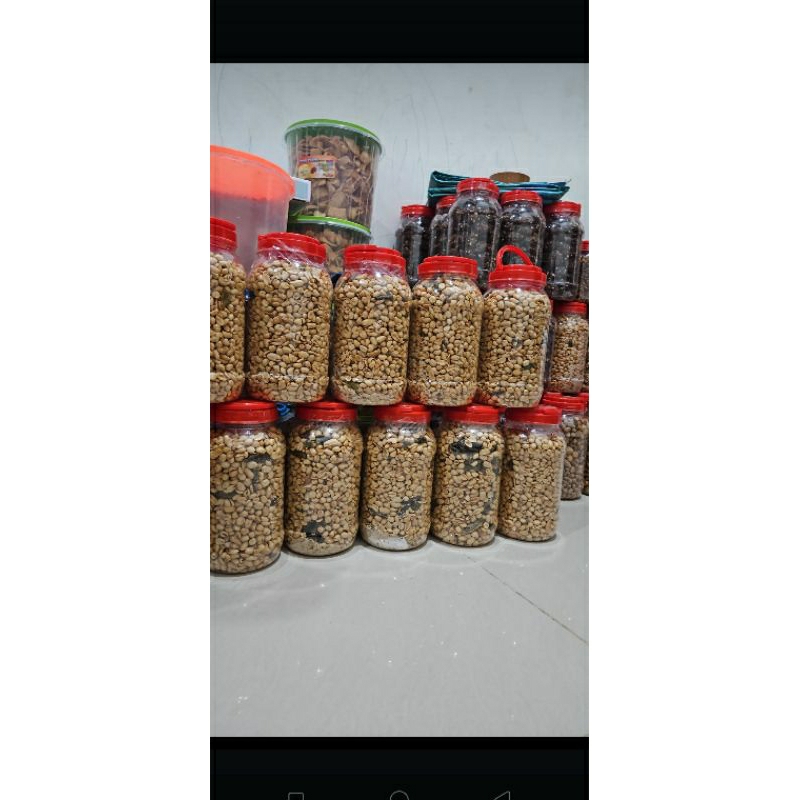 

kacang langkose