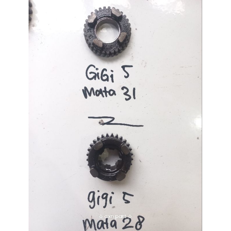 Gigi 5 RASIO TIGER ORIGINAL COPOTAN  MATA 28/31