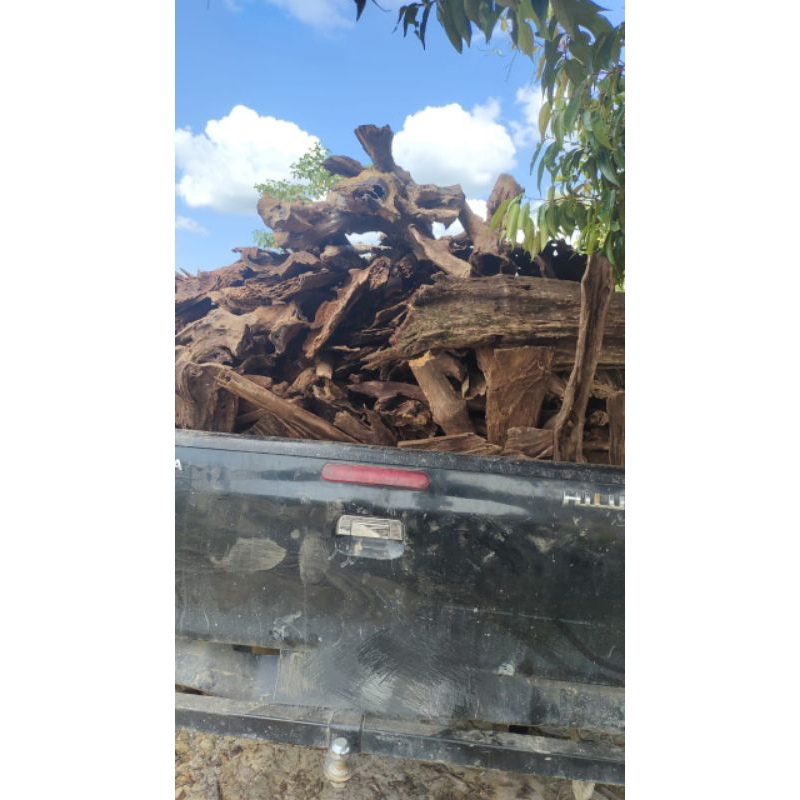 Kayu gaharu buaya kelas A yg B