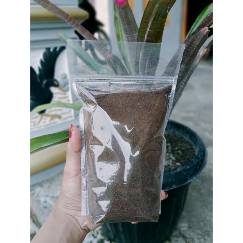 

Dadok Coffe