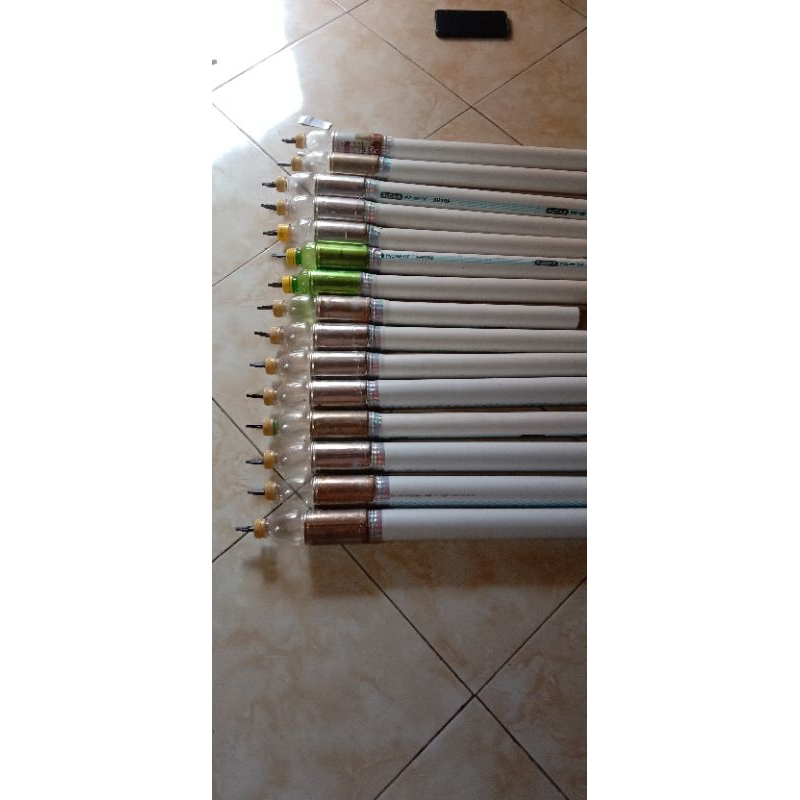 Meriam Lodon, meriam merecon spirtus, anak dan dewasa