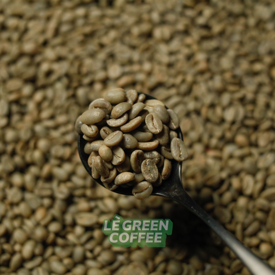

ARABICA IJEN KENYAN WASH (Biji Kopi)