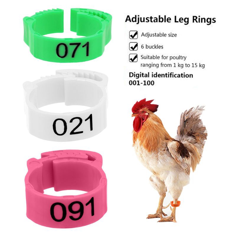 100 PCS Ring Kaki Ayam Cincin Klip Kaki Ayam