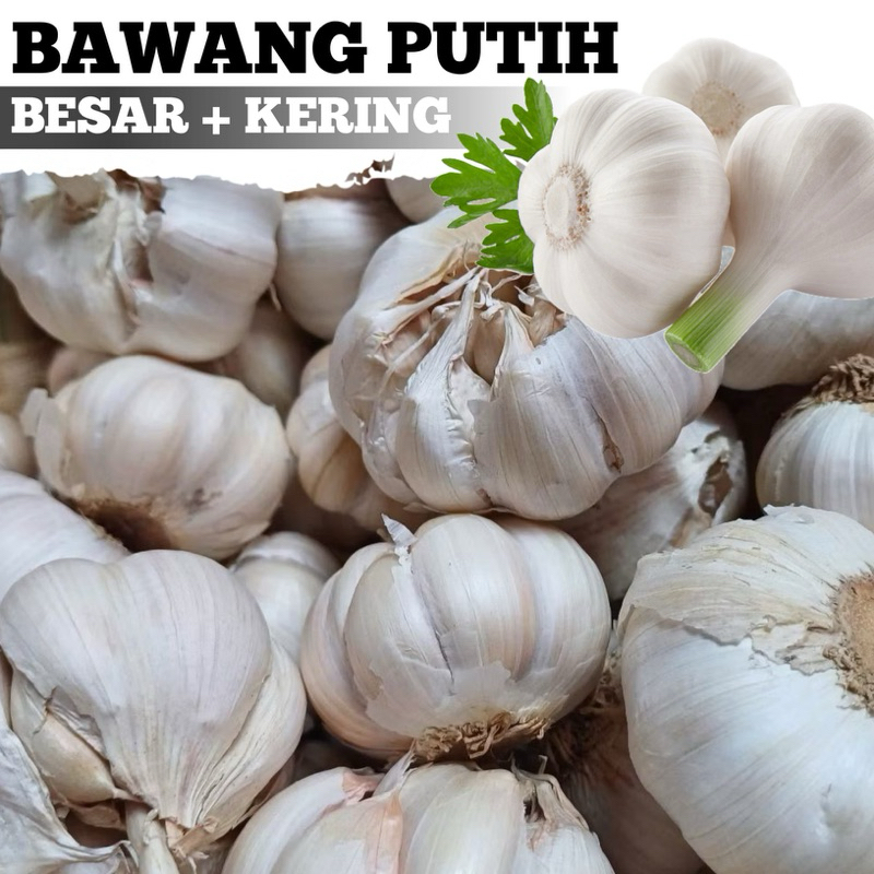 

Bawang putih kering murah besar 1 Kg