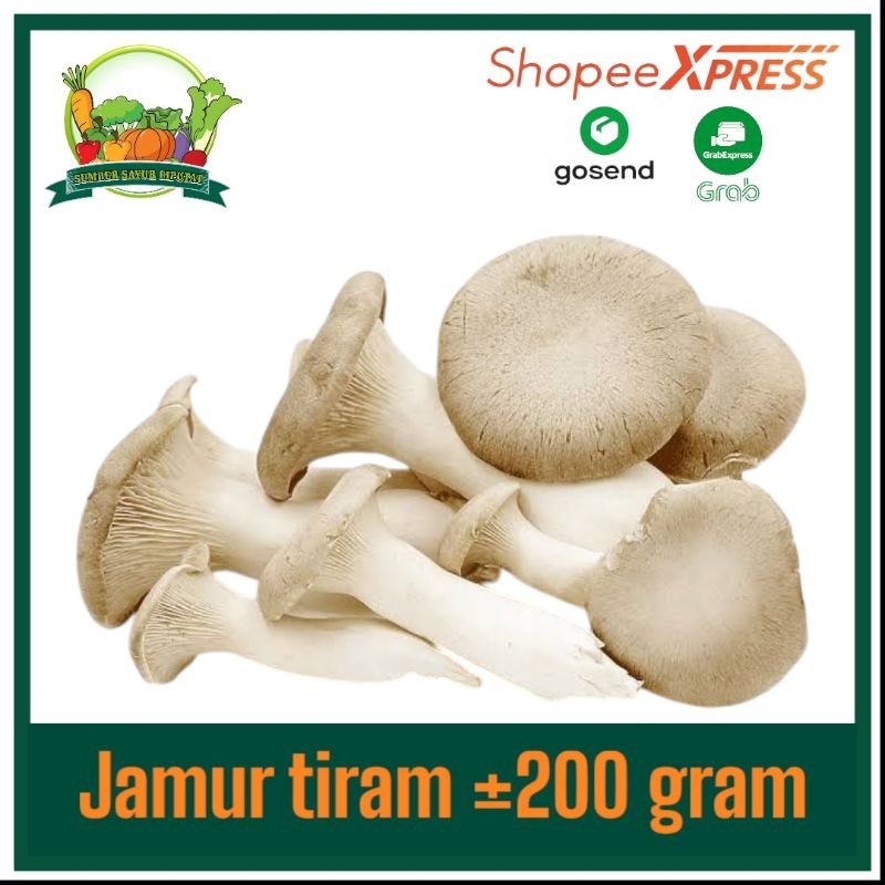 

Jamur tiram 1 pack ±200 gram (PESAN MALAM)