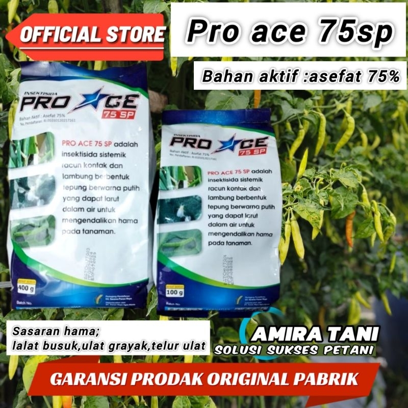 Insektisida PROACE ASEFAT 75 SP BASMI ULAT DAN LALAT BUAH