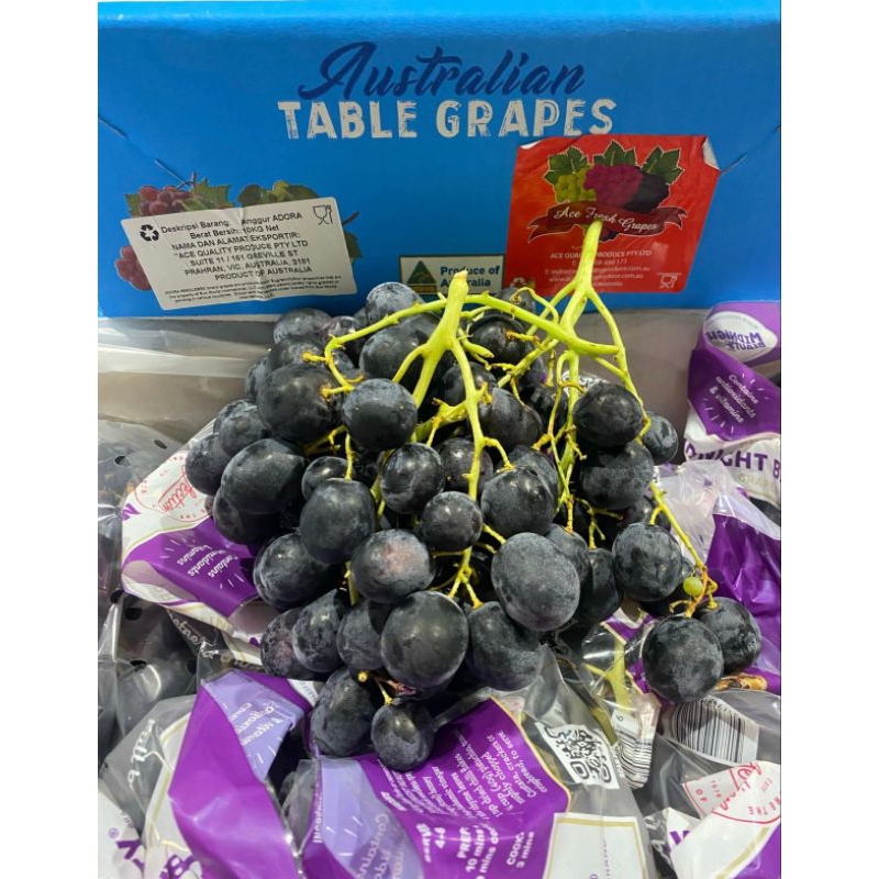 

[PREMIUM] Anggur Royal Autumn 1 kg – Manis, Fresh, Tanpa Biji