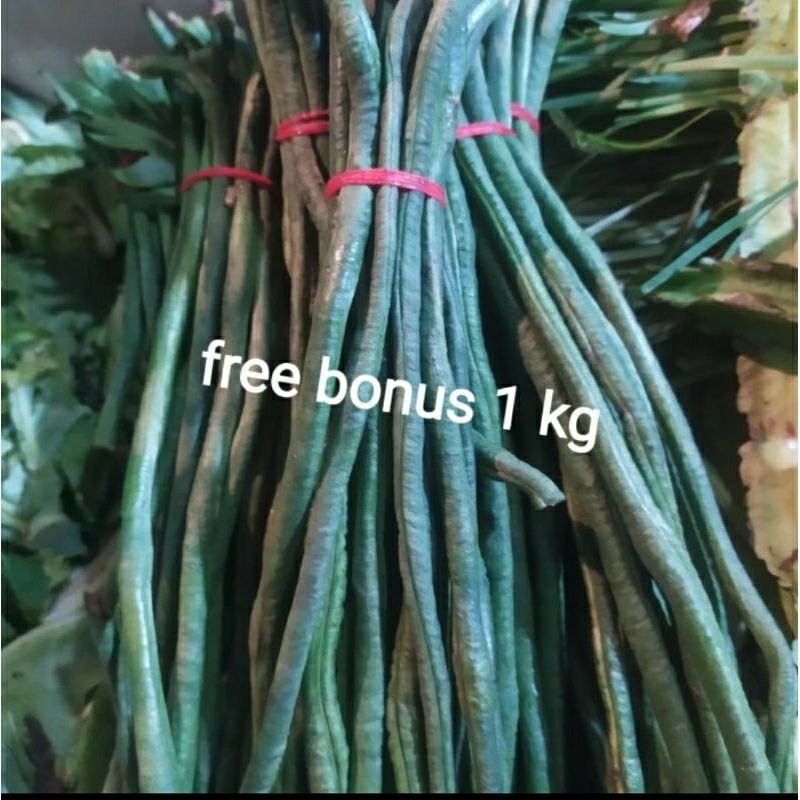 

kacang panjang 500gr + gratis bonus