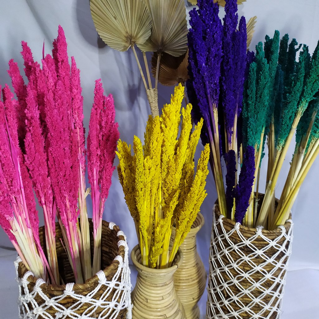 bunga kering cantel warna