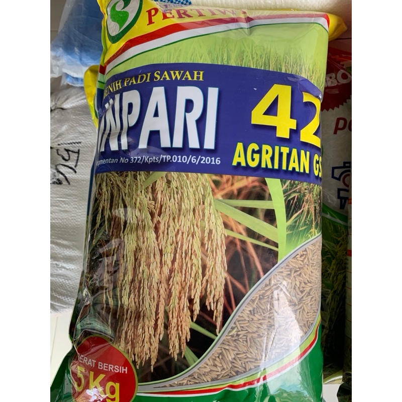 Benih padi inpari 42-pertiwi