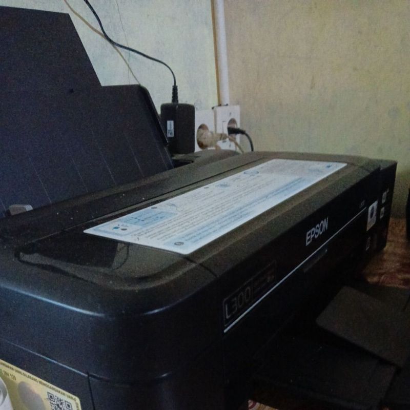 Epson L300