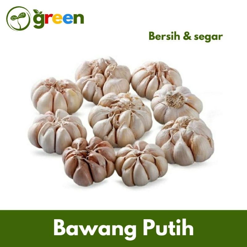 

Bawang Putih