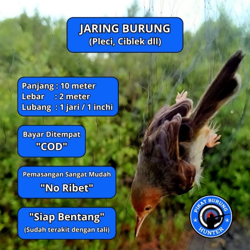 JARING BURUNG PRENJAK JARING BURUNG EMPRIT HAJI JARING BURUNG KECIL JARING BURUNG SAWAH JARING BURUN
