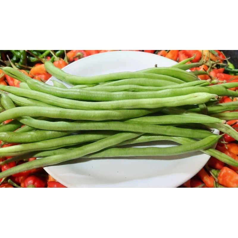 

Buncis Segar 500 Gram
