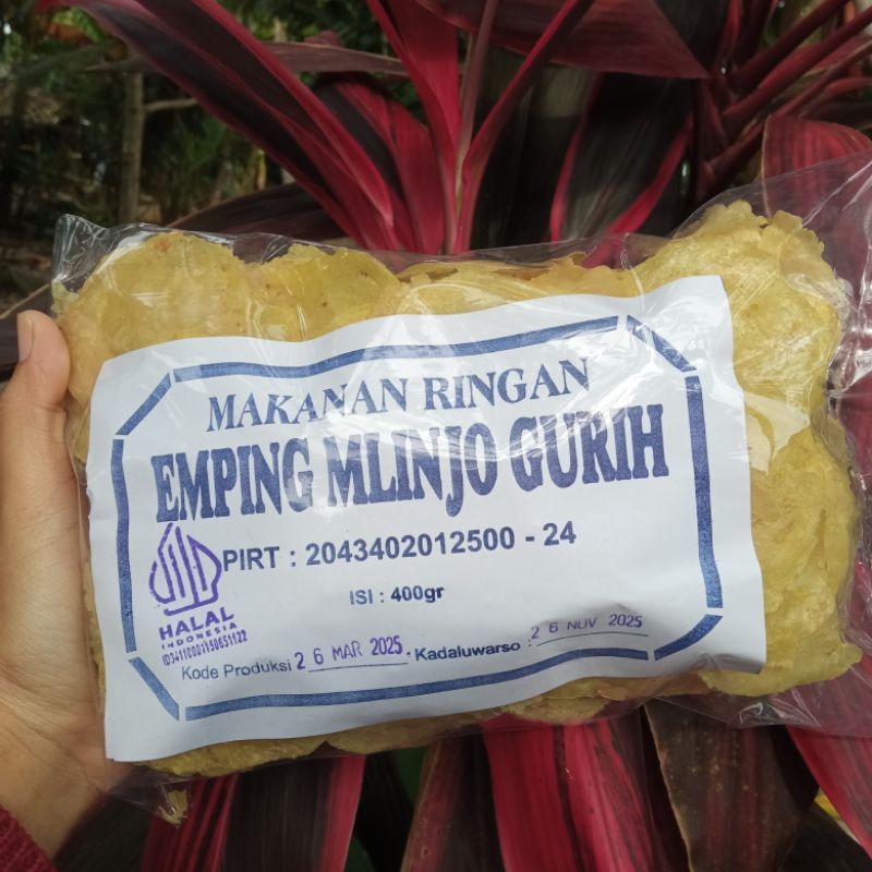

EMPING MELINJO MENTAH SUDAH BERBUMBU GURIH KEMASAN 400GR