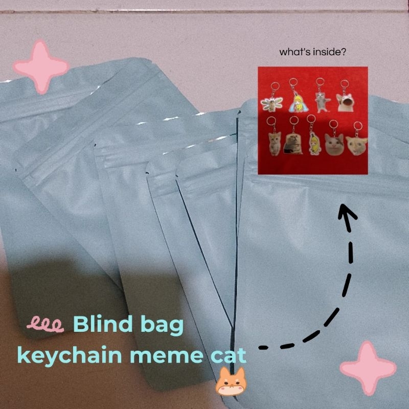 Blind Bag keychain meme cat Arcylic 2 Sisi