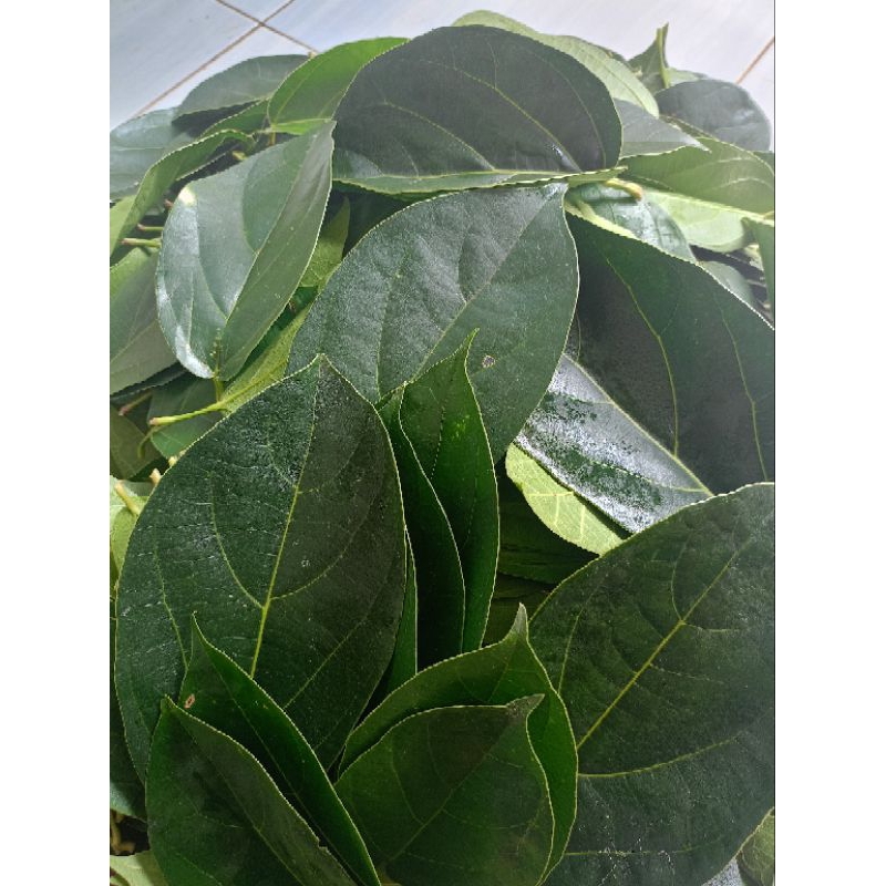 

daun cincau segar 500gram