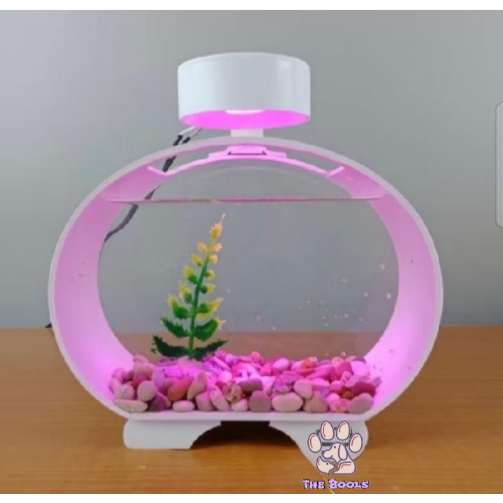 (The Bools) Aquarium Ikan Cupang Soliter Akrilik Ikan Cupang Aquarium Akrilik Ikan Cupang Aquarium I