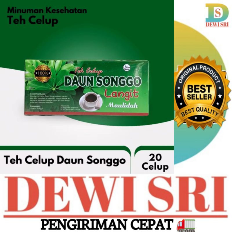 

Teh Celup Herbal DAUN SONGGO LANGIT 1Box