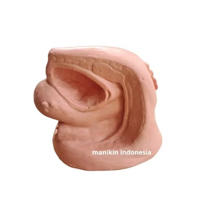 PHANTOM kateter wanita