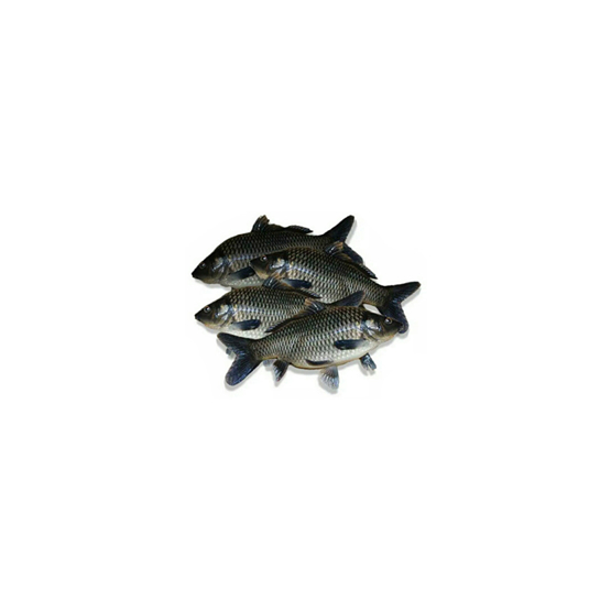 

Ikan Mas - 500 Gram