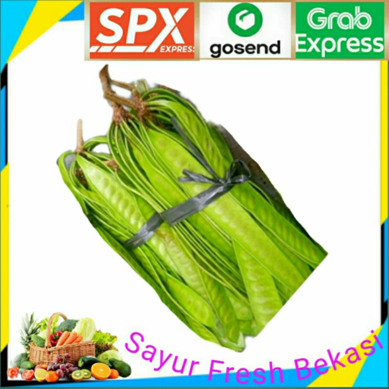 

Pete Cina/Petai China (1 ikat).