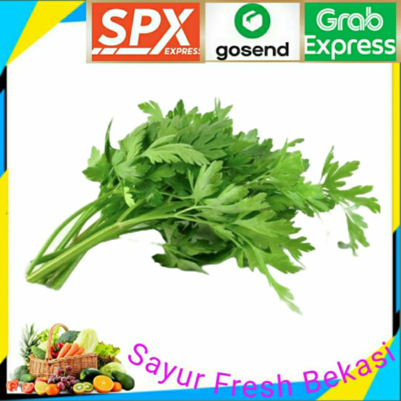 

Daun Seledri ( 1 ikat ).