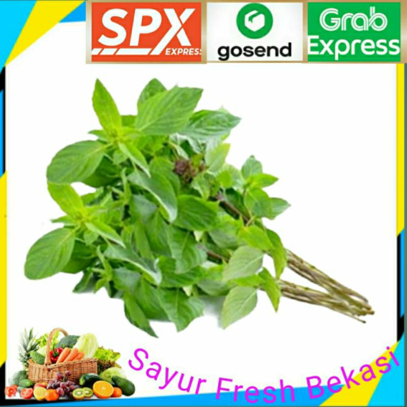

Daun Kemangi (3 iket).