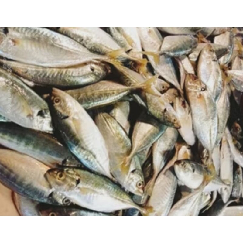 

ikan kelarau segar fresh pasar pagi 500gram