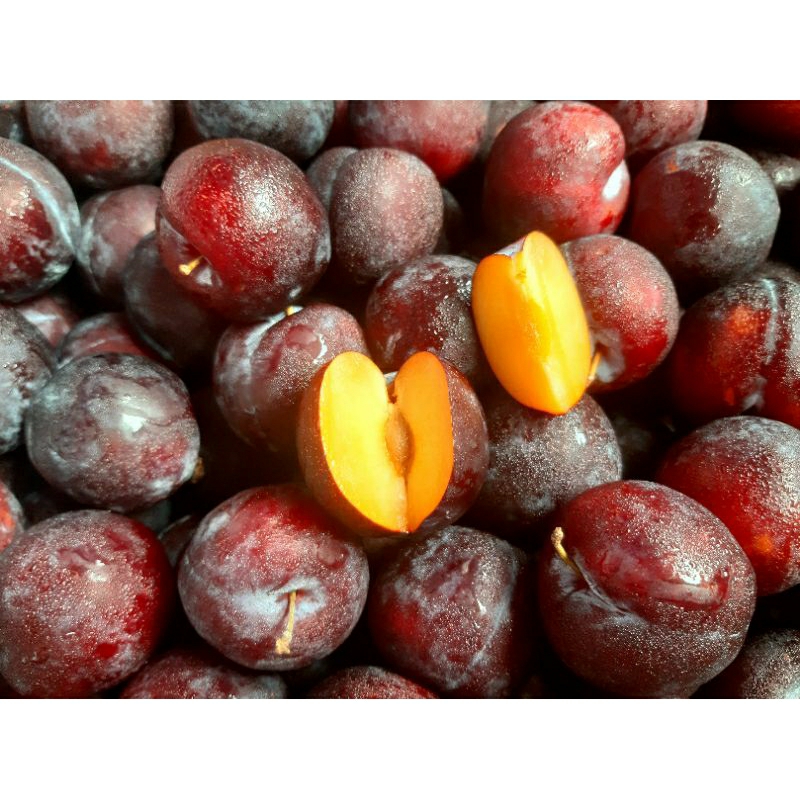

Buah Plum Australia (250gr)